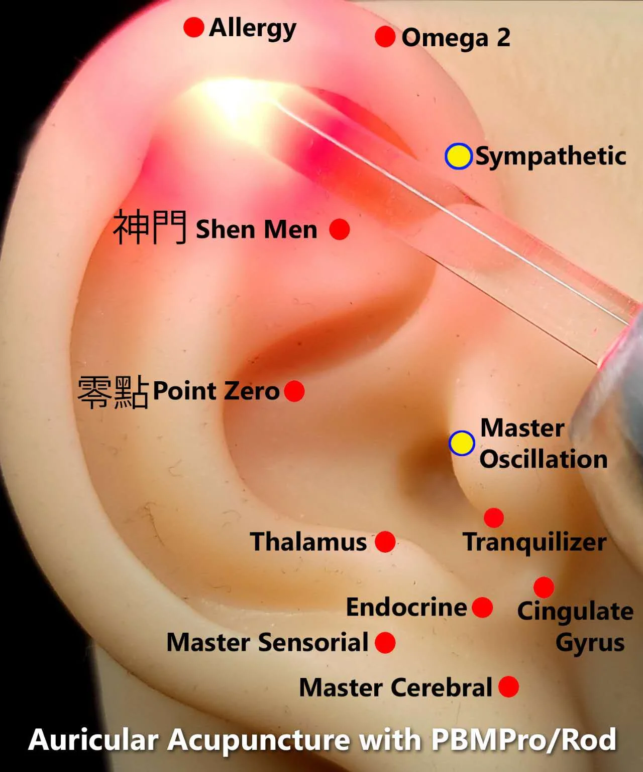PBM Pro (Teal) - Image 8
